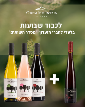 מבצע שבועות מסדר השותים